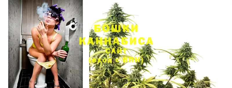 МАРИХУАНА SATIVA & INDICA  продажа наркотиков  Чехов 